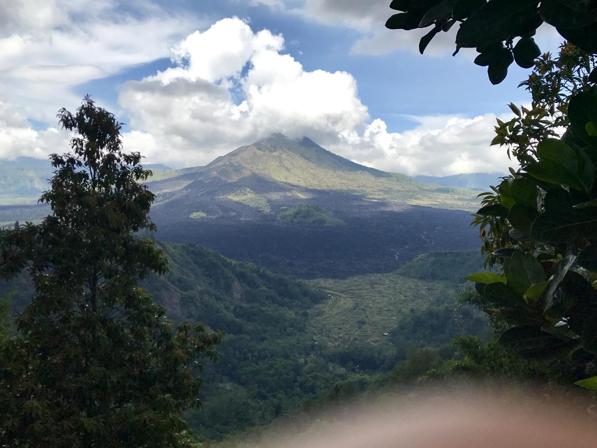 Sebatu Sanctuary Eco-Resort テガララン エクステリア 写真